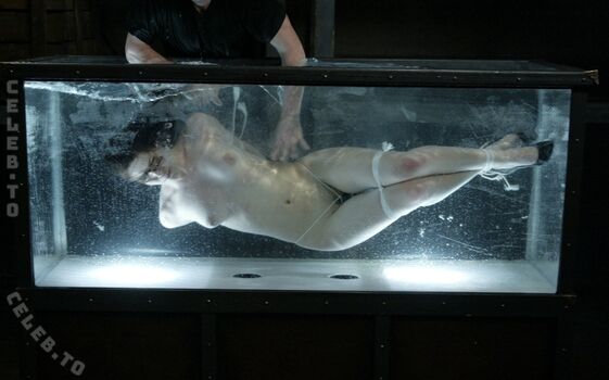 Bobbi starr page leaked private photo uncensored HD quality
