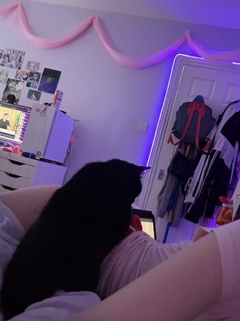 Digitalkatt page leaked private photo uncensored HD quality