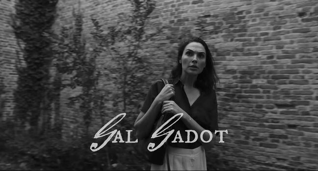 Gal gadot leaked private photo uncensored HD quality
