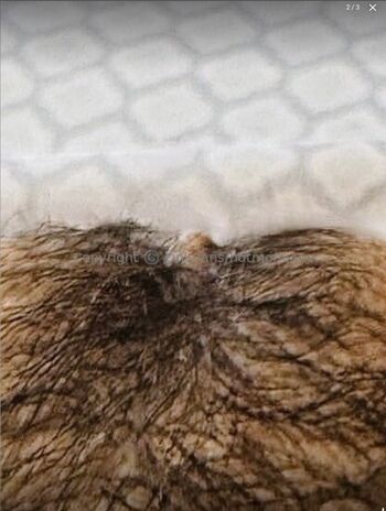 Hotmomjane leaked private photo uncensored HD quality