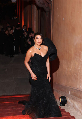 Priyanka chopra leaked private photo uncensored HD quality