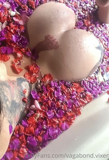 Vagabond vixen leaked private photo uncensored HD quality