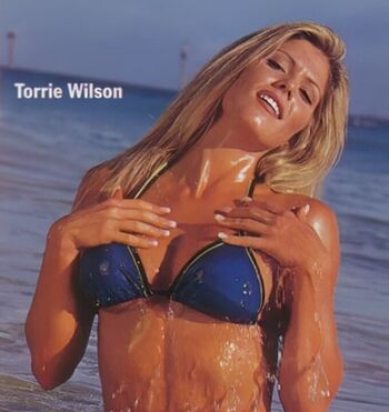 Wwe torrie wilson leaked private photo uncensored HD quality